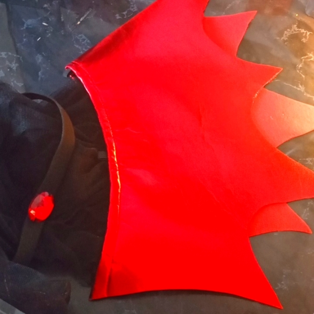 Vampire Costume - Picture 4 of 6